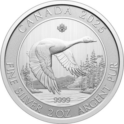Gâscă - 2 Oz - Monedă de argint pentru investiții