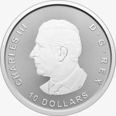 Gâscă - 2 Oz - Monedă de argint pentru investiții