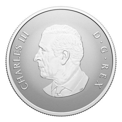 "Bun venit pe lume" 2025 - 1/2 oz - monedă cadou din argint