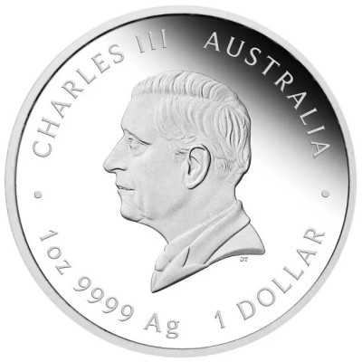 "One Love" 2025 - 1 Oz - Monedă cadou din argint