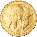 Big Five Elephant (2025) - 1 Oz - gold investment coin