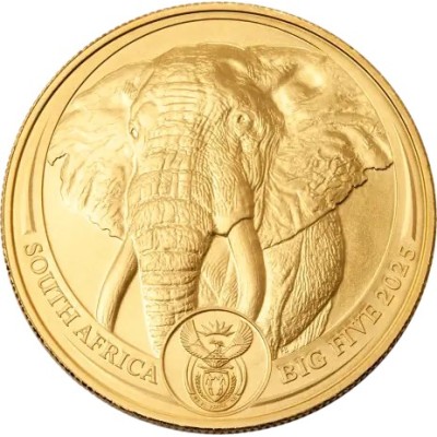 Elefant Big Five (2025) 1 Oz - monedă de investiții din aur