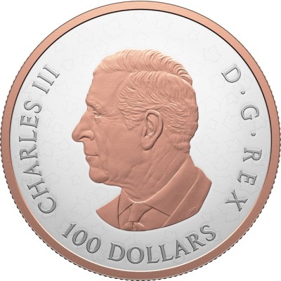 Frunze de arțar strălucitoare - 10 Oz - Monedă de colecție din argint (livrare 30.6.2025)