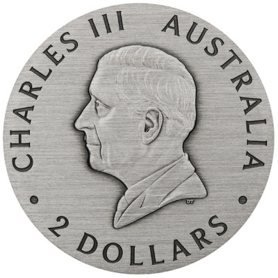 Albină (2025) - 2 Oz - Monedă de colecție din argint