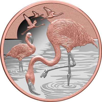Flamingo (2025) - 1 Oz - Monedă de colecție din argint