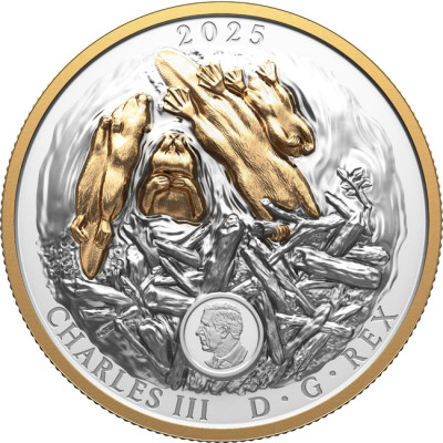 The Beaver (2025) - 100g - monedă de colecție din argint (livrare 24.9.2025)