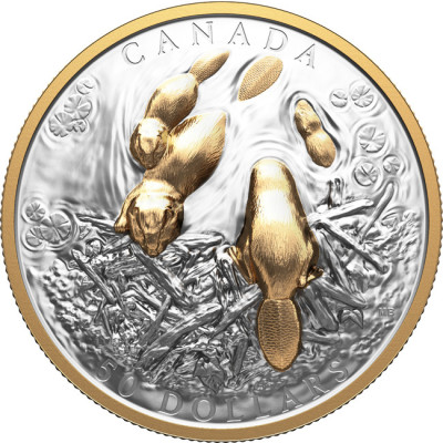 The Beaver (2025) - 100g - monedă de colecție din argint (livrare 24.9.2025)
