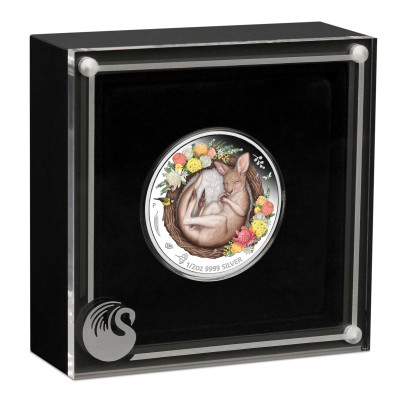 Baby Kangaroo (2021) - 1/2 Oz - Monedă de colecție din argint