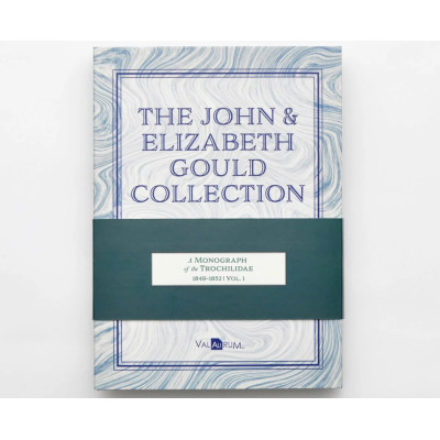 Colecția John și Elizabeth Gould - Colibri