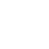 3 g